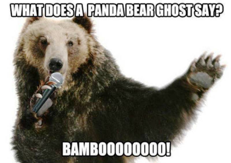 What Does A Pana Bear Ghost Say