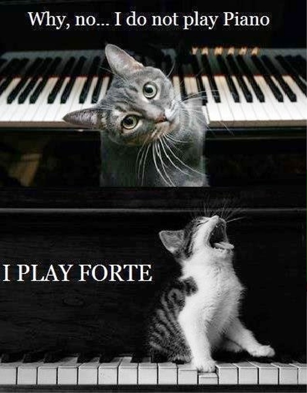 Why, No I Do Not Play Piano