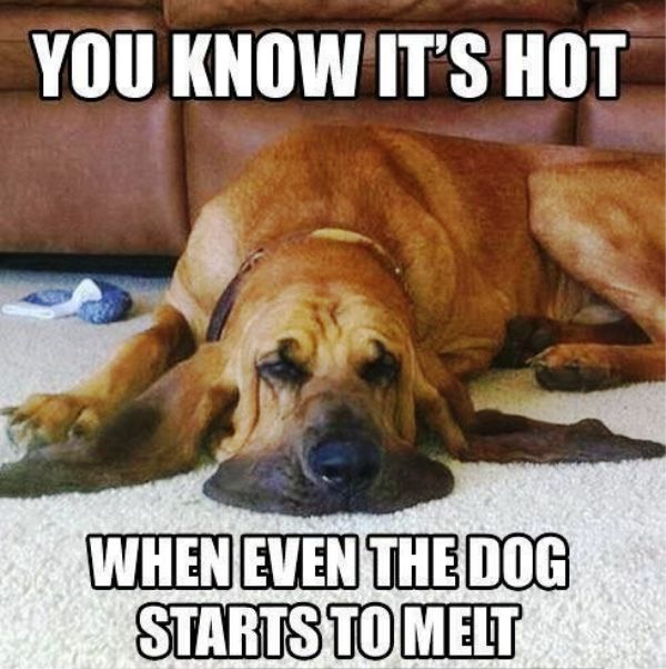 You Know It's Hot