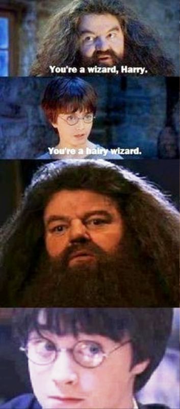 You re A Wizard Harry