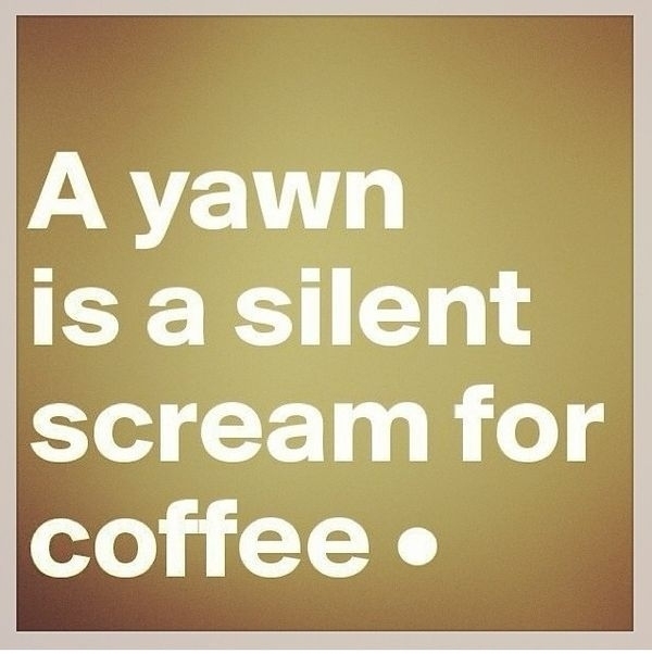 A Yawn Is A Silent Scream For Coffee