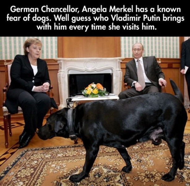 Angela Markel Has A Known Fear Of Dogs