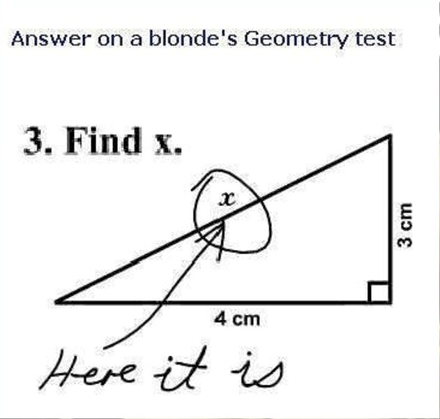 Answer On A Blonde Geometry Test