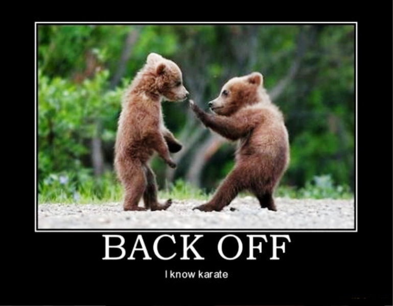 Back Off I Know Karate