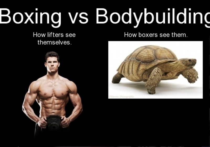 Boxing Vs Bodybuilding