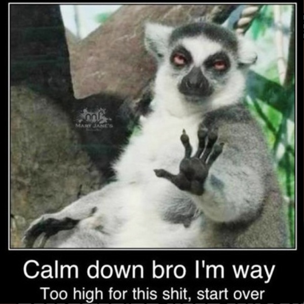 Calm Down Bro I'm Way