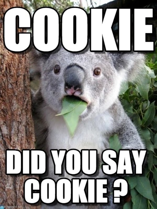 Cookie Did You Say Cookie