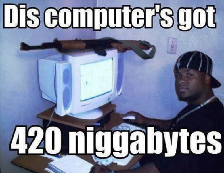 Dis Computer Got 420 Niggabytes