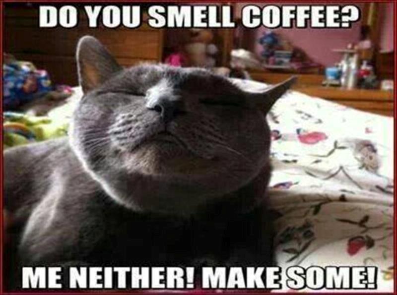 Do You Smell Coffee