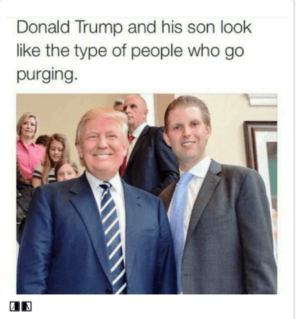 Donald Trump And His Son