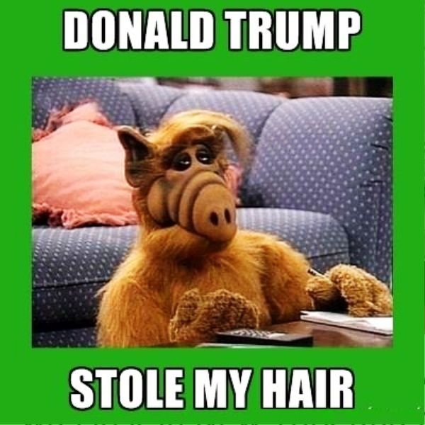 Donald Trump Stole My Hair
