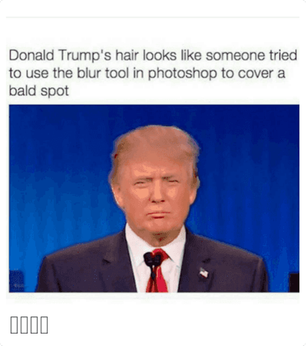 Donald Trumps Hair Looks Like Someone