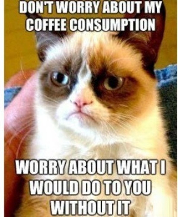 Dont Worry About My Coffee Consumption