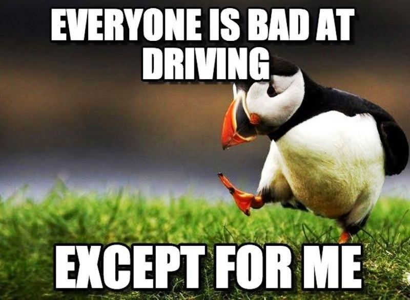 Everyone Is Bad At Driving.