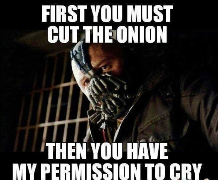 First You Must Cut The Onion