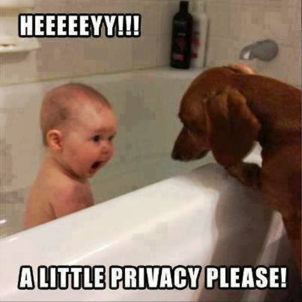 Hey, A Little Privacy Please