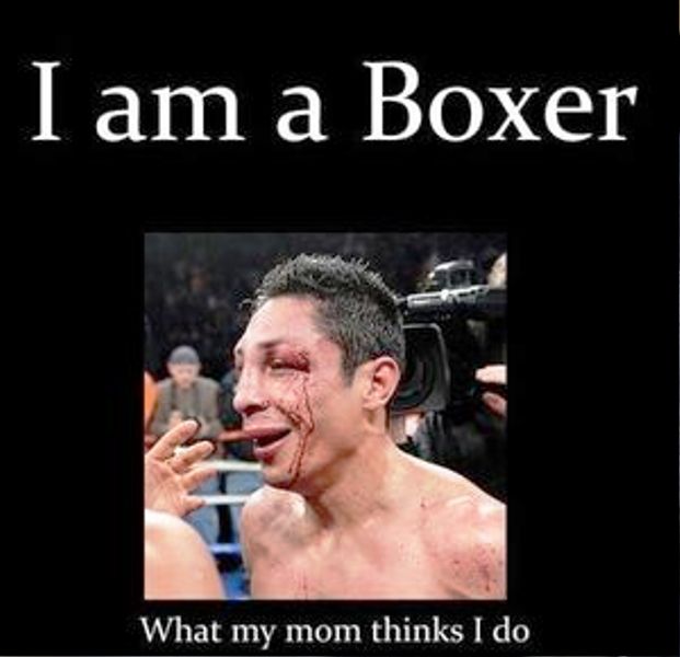I Am A Boxer