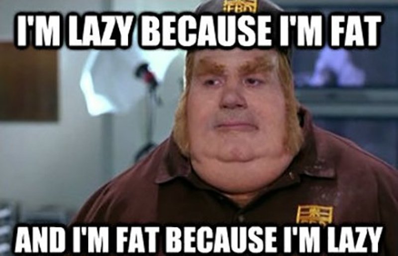 I Am Lazy Because I Am Fat