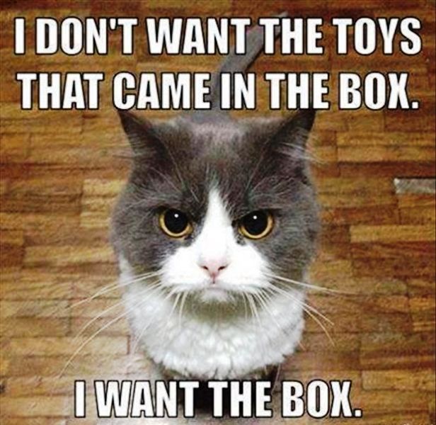 I Dont Want The Toys