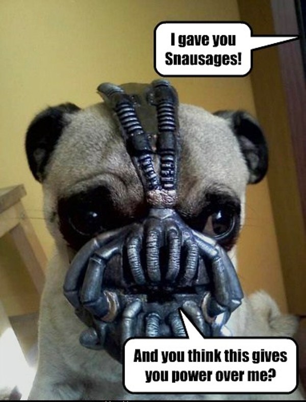 I Gave You Snausages