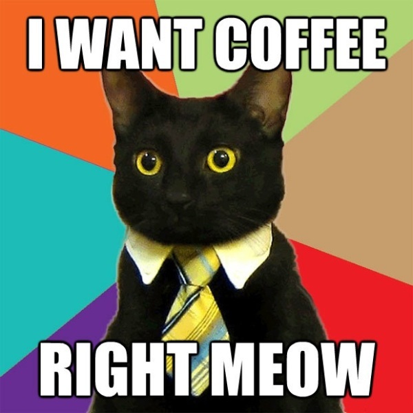 I Want Coffee Right Meow