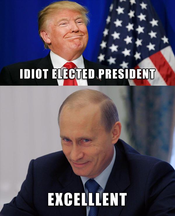 Idiot Elected President