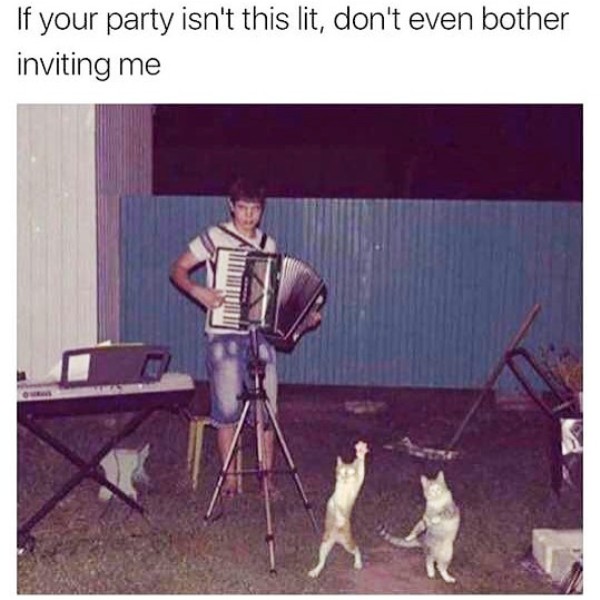 If Your Party Isnt This Lit