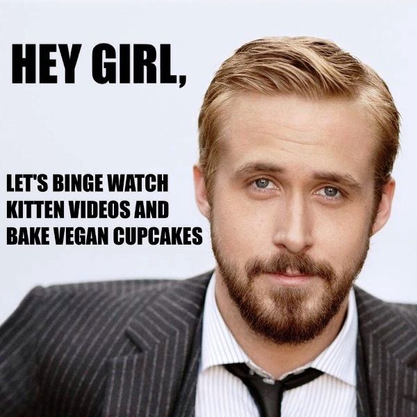 Lets Binge Watch Kitten Videos