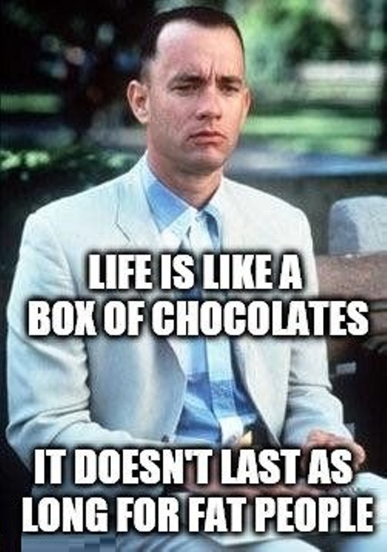 Life Is Like A Box