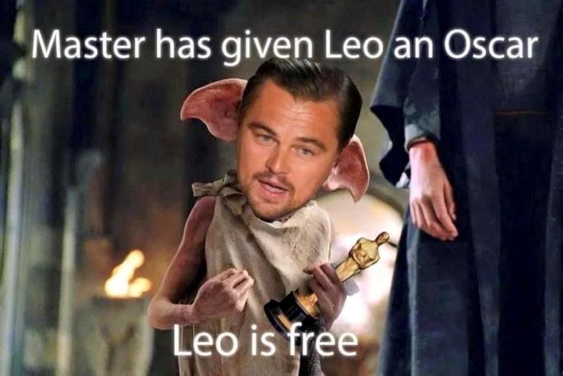 Master Has Given Leo An Oscar