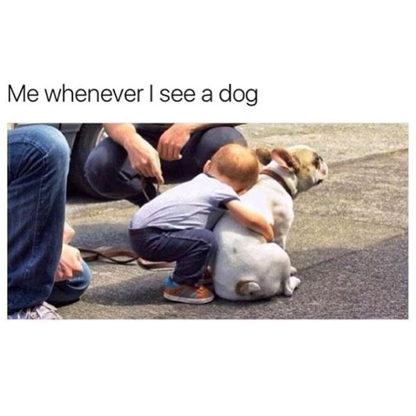 Me Whenever I See A Dog
