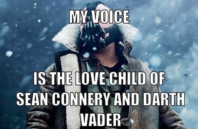 My Voice Is The Love Child Of