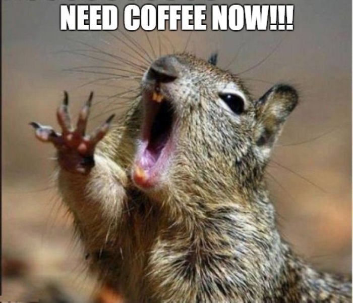 Need Coffee Now
