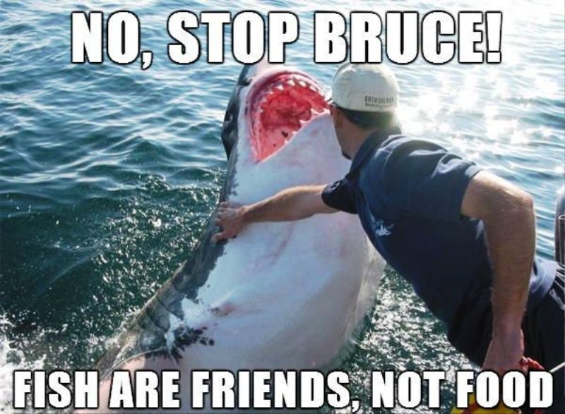 No Stop Bruce