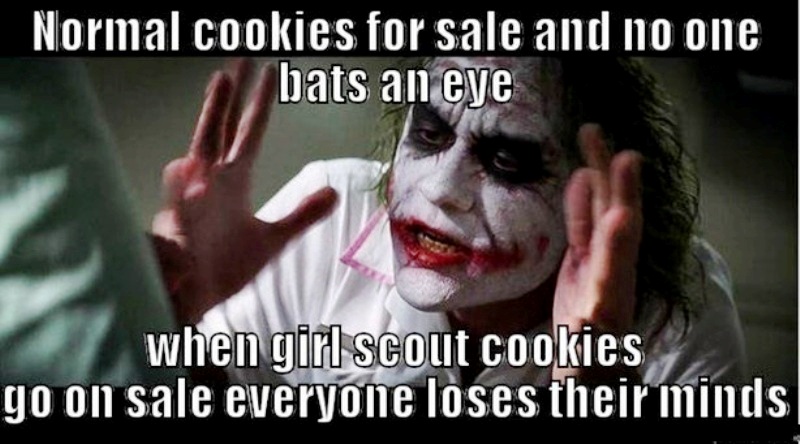 Normal Cookies For Sale