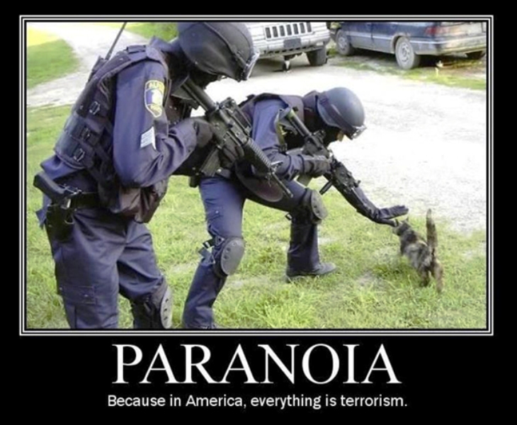 Paranoia Because In America