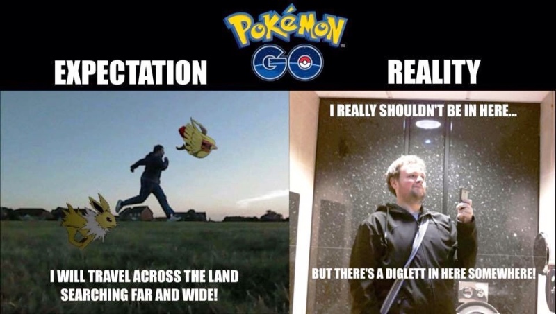 Pokemon Go Expectation Vs Reality