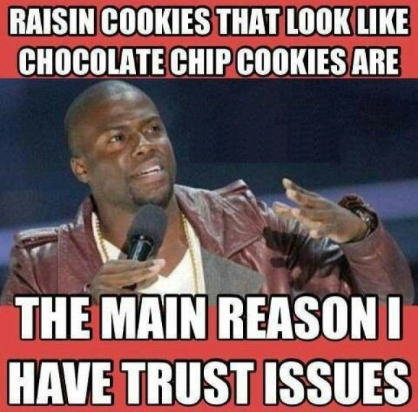 Raisin Cookies That Look