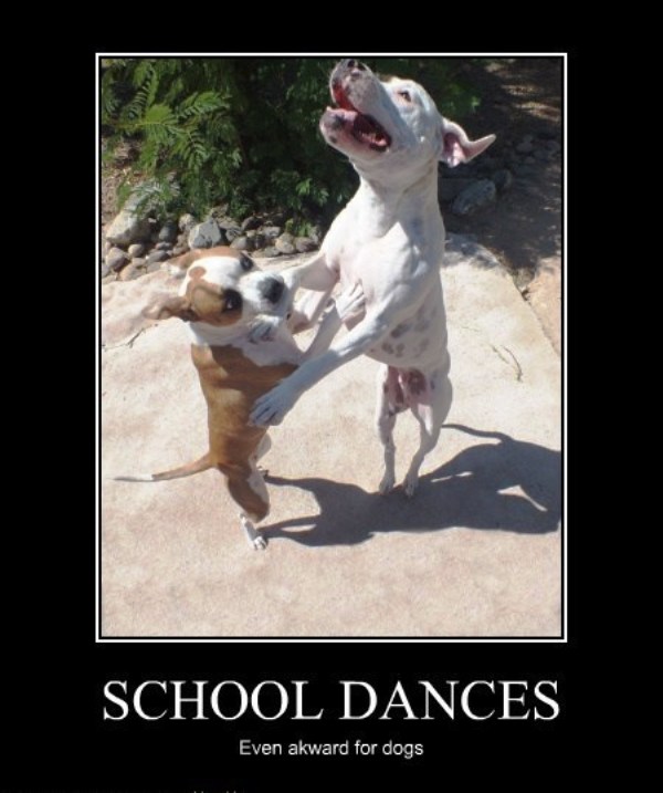 School Dances Even Awkward For Dogs
