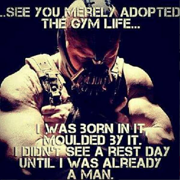 See You Merely Adopted The Gym Life