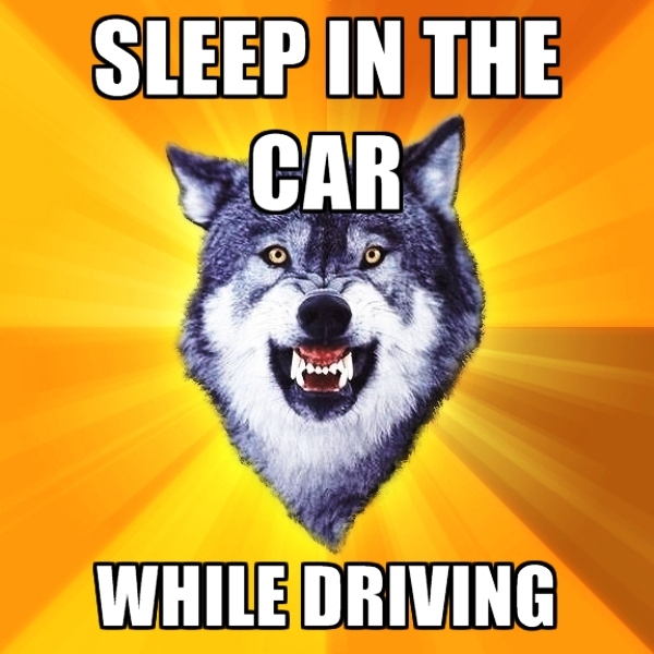 Sleep In The Car