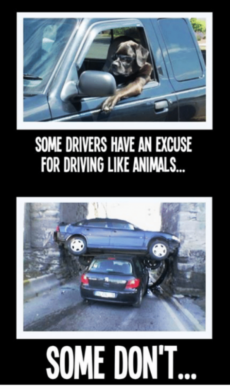 Some Drivers Have An Excuse
