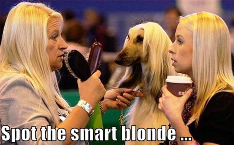 Spot The Smart Blonde