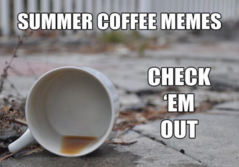 Summer Coffee Memes