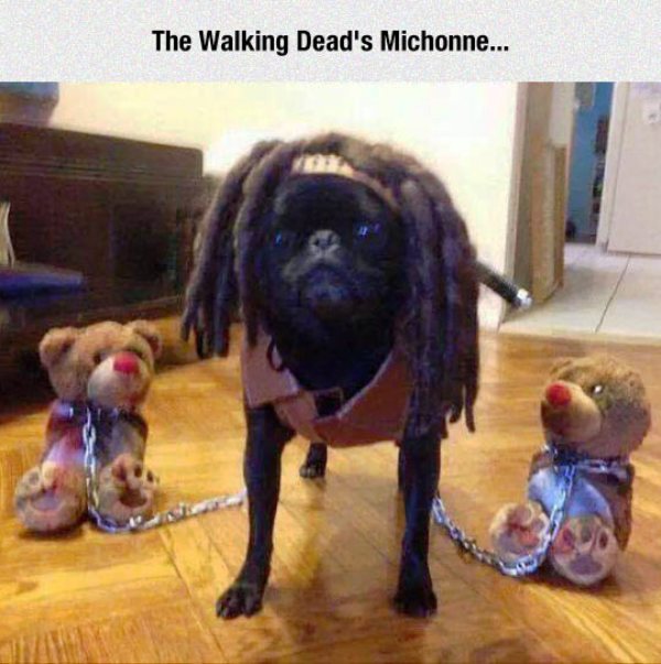 The Walking Deads Michonne