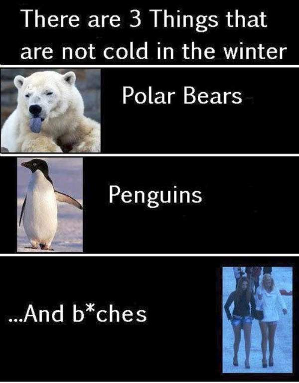 There Are 3 Things That Are Not Cold