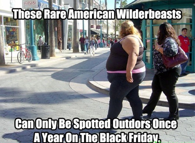 These Rare American Wilderbeastes
