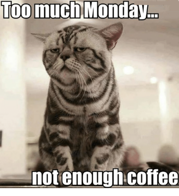 Too Much Monday Not Enough Coffee