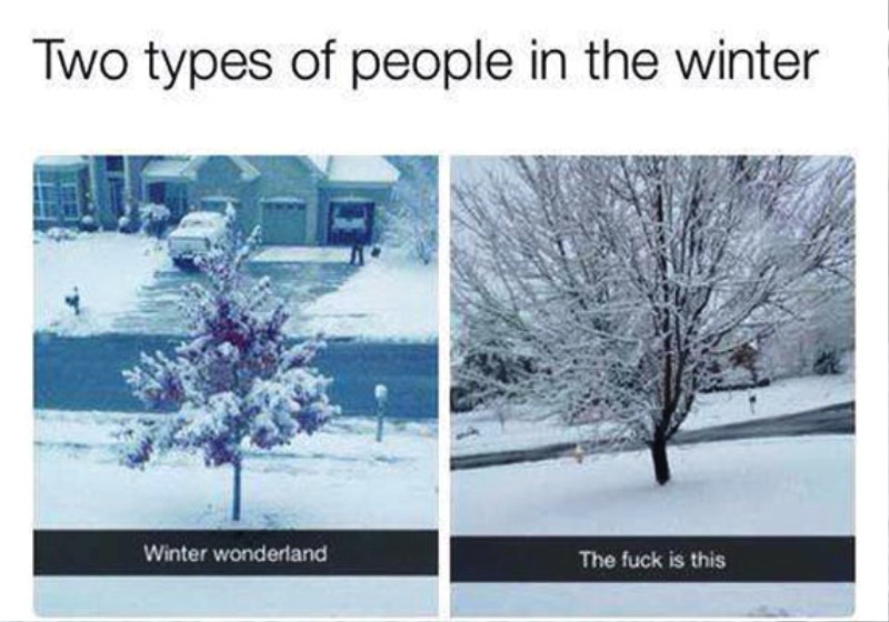Two Types Of People In The Winter
