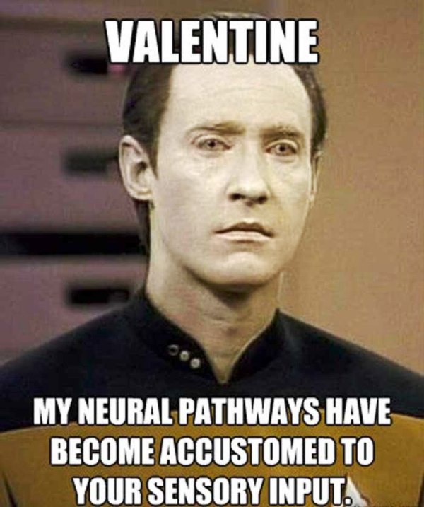 Valentine My Neural Pathways